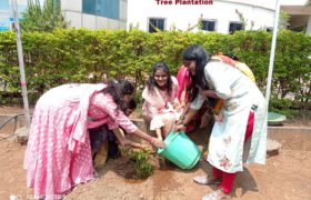 Events & Celebration